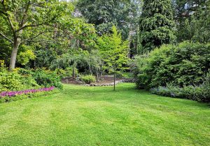 Optimiser l'expérience du jardin à Merlevenez