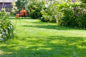 travaux jardin et paysage Merlevenez